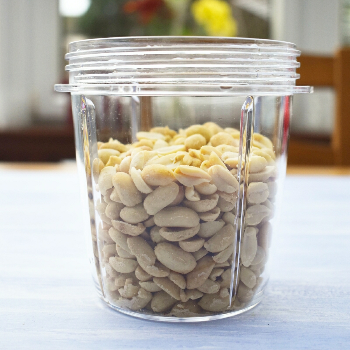 peanuts in a blender jug.