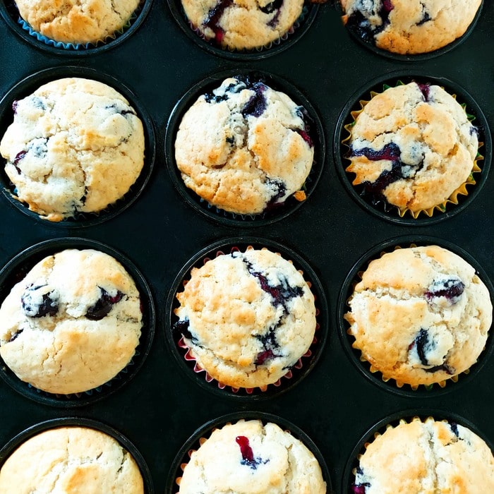 blueberry ginger muffins cooling in a muffin tin.