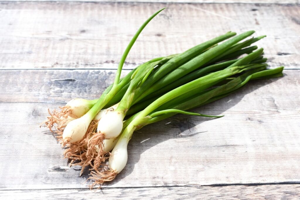 a bunch of spring onions